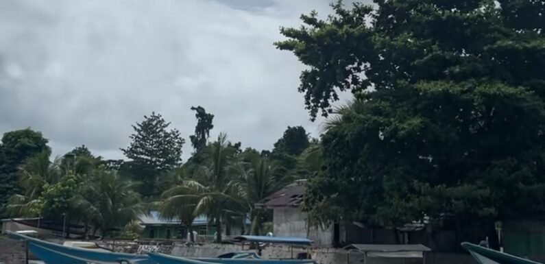Dewan Adat Tegaskan Bukan Keinginan Murni Masyarakat Rumberpon & Soughwepu.